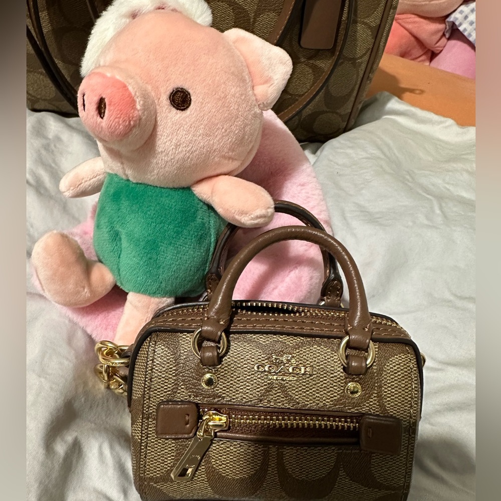 Mini coach